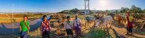 Marché et stupas de Thaung Tho en Birmanie en réalité virtuelle